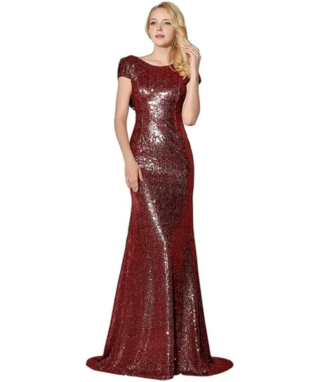 Titannorthamerica Women’s Glitter Long Mermaid Dress